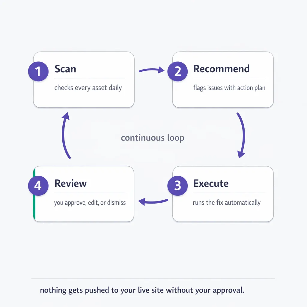vlake-case-for-ai-loop