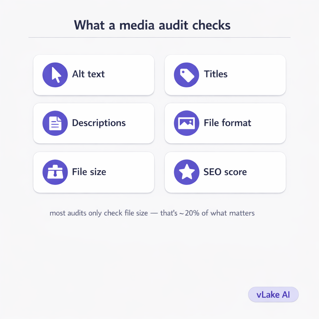 vlake-media-audit-categories