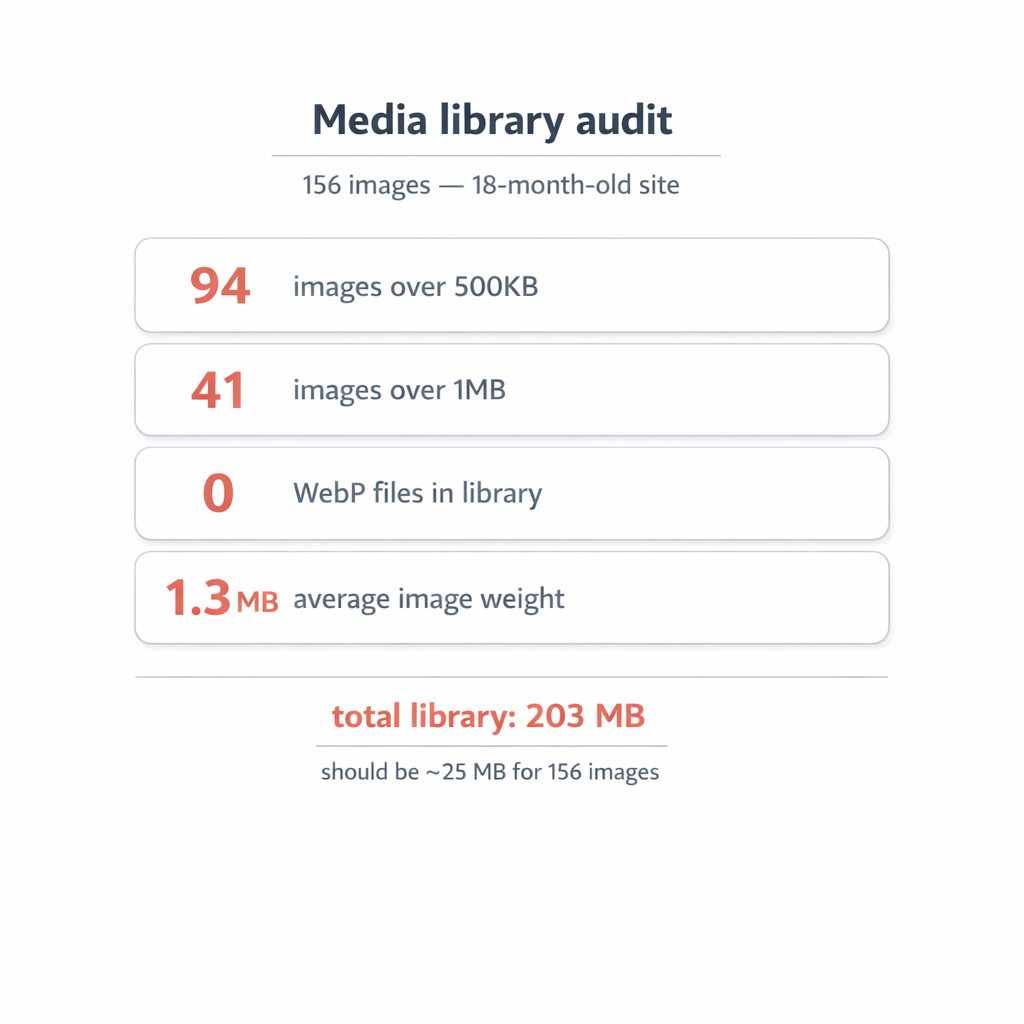 vlake-page-speed-audit