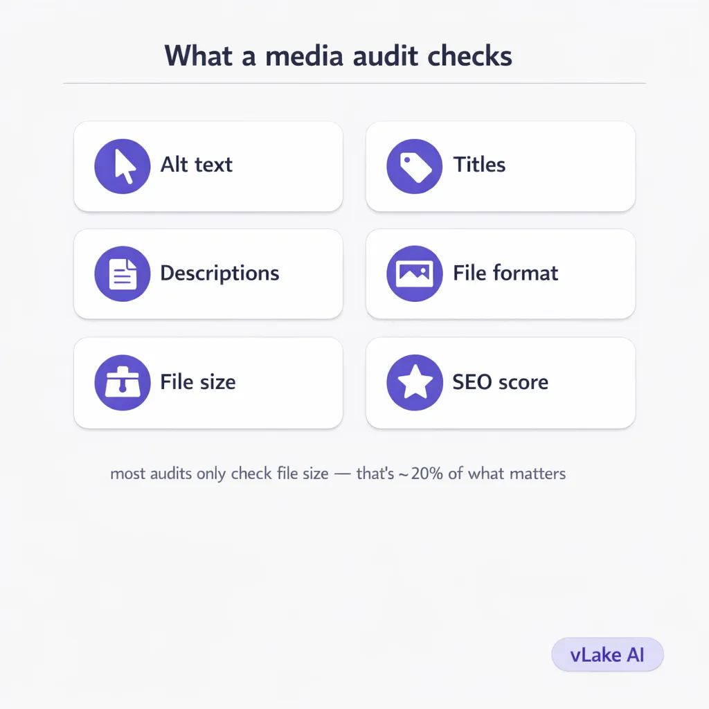 vlake-media-audit-categories