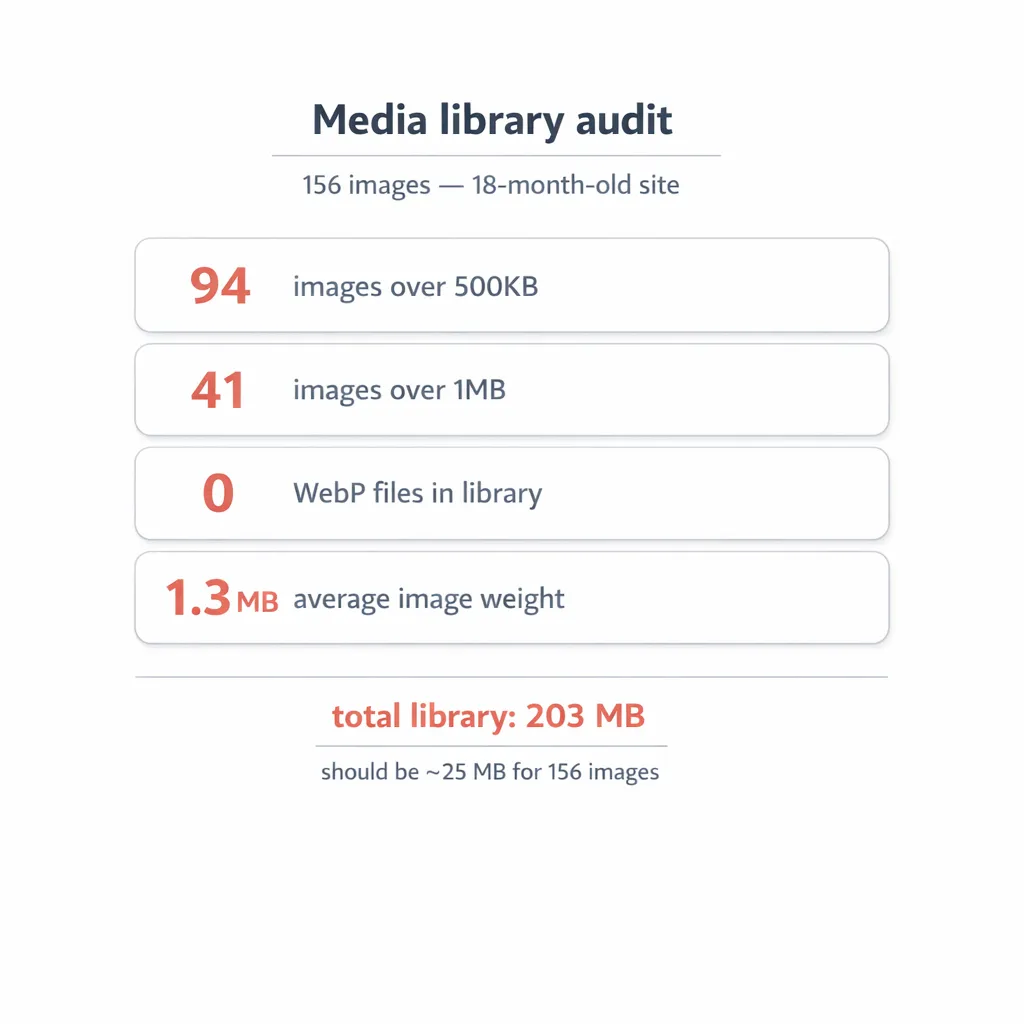 vlake-page-speed-audit